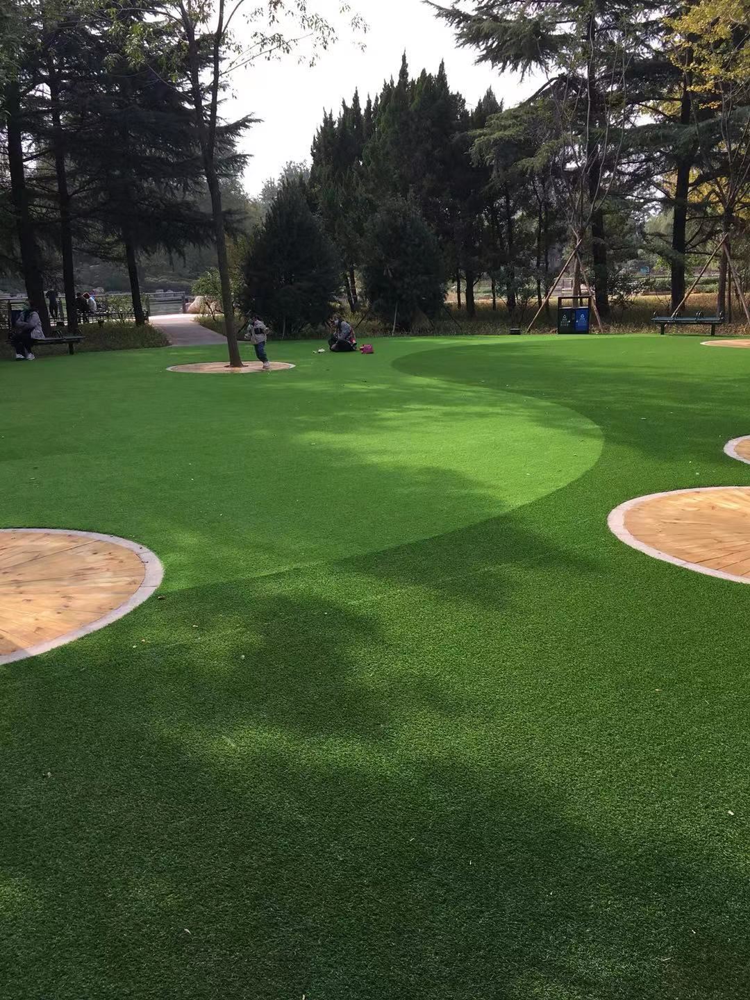 landscaping grass landscaping grass