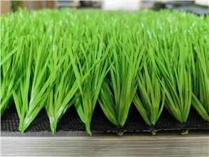 Fußballplatzgras